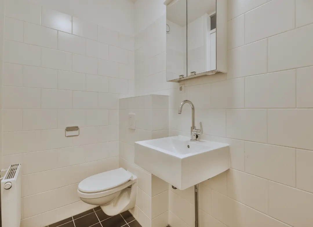 Pose WC Suspendu Thyez